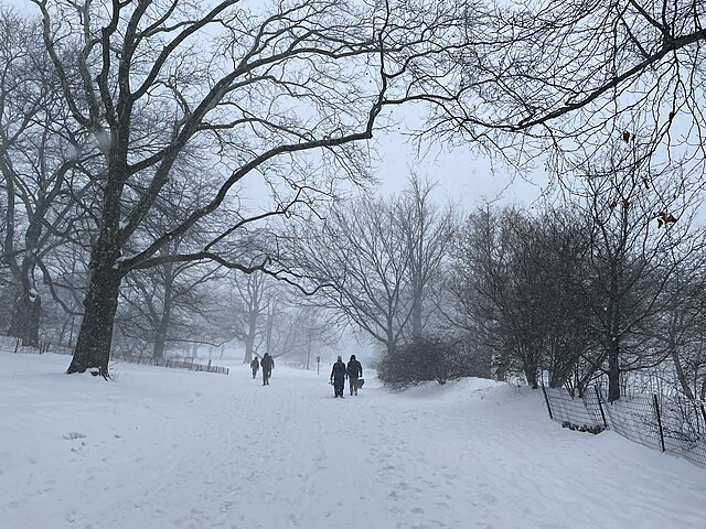 NBA pospone partidos por tormenta invernal